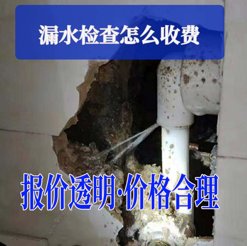 漏水检测费用全解析：查漏水点到底需要多少钱？